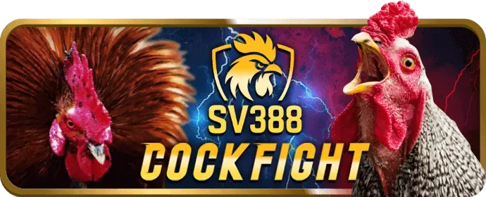 Hình ảnh minh họa cookie bên thứ ba từ các dịch vụ bên ngoài TA888